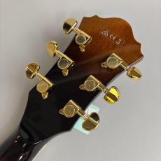 Ibanez AF95 VLS_8