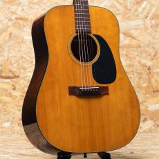 Martin D-18 1974