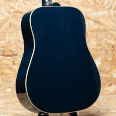 Epiphone Miranda Lambert Bluebird Studio_2