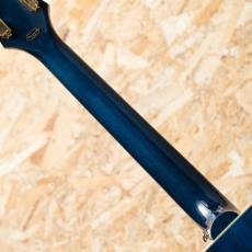 Epiphone Miranda Lambert Bluebird Studio_7