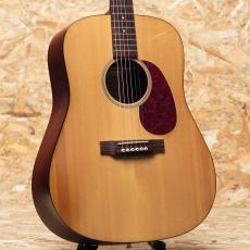 Martin DM 1996