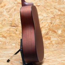 Martin DM 1996_5