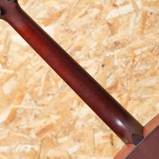Martin DM 1996_7