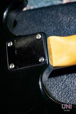 Fender Bronco / 1978_7