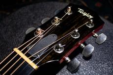 Taylor T5z Classic DLX LTD / 2017_3