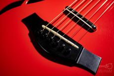 Taylor T5z Classic DLX LTD / 2017_5