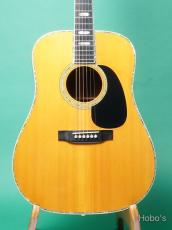 Martin D-45