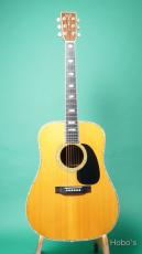 Martin D-45_2
