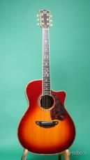 Terry's Casual TC-M7 Star PU装備 (L.R.Baggs Anthem)_2