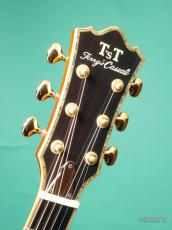 Terry's Casual TC-M7 Star PU装備 (L.R.Baggs Anthem)_3