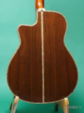 Terry's Casual TC-M7 Star PU装備 (L.R.Baggs Anthem)_4