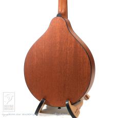 Eastman PCH-M104【36回無金利対象品】_4