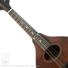 Eastman PCH-M104【36回無金利対象品】_5