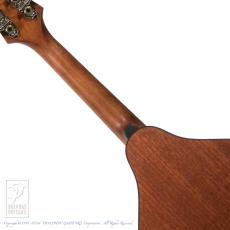 Eastman PCH-M104【36回無金利対象品】_6