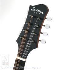 Eastman PCH-M104【36回無金利対象品】_7
