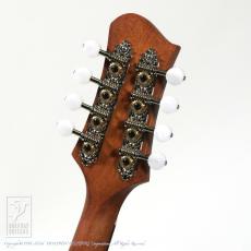 Eastman PCH-M104【36回無金利対象品】_8