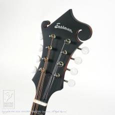 Eastman MD-315E/SB【36回無金利対象品】_7