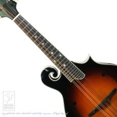 Eastman MD-515/TV-WN-SB【36回無金利対象品】_5