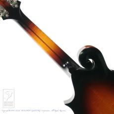 Eastman MD-515/TV-WN-SB【36回無金利対象品】_6