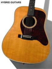 Martin D-28 Lester Flatt P.G. with Piezo 2005