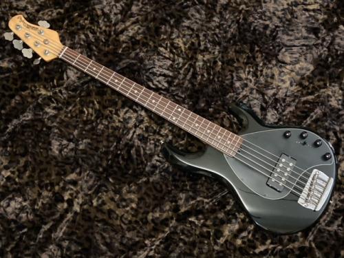 MUSIC MAN StingRay 5H