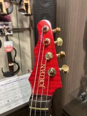 Jordan Electric Cello 'ARIEL'【クレジット無金利キャンペーン実施中!】_4