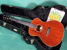Breedlove Frontier Concert E