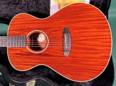 Breedlove Frontier Concert E_2