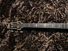 SCHECTER HELLRAISER EXTREME 4_3