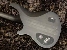 SCHECTER HELLRAISER EXTREME 4_7