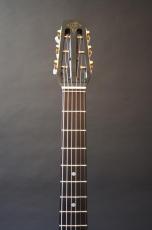 Stringphonic Advanced Oval_5