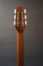 Stringphonic Advanced Oval_6