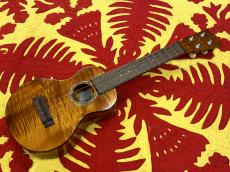 Waipio SKD-4ND_2