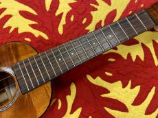 Waipio SKD-4ND_3