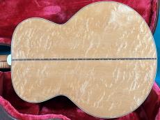Gibson J-200 BIRDS EYE _3