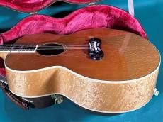 Gibson J-200 BIRDS EYE _4