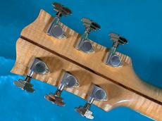 Gibson J-200 BIRDS EYE _6