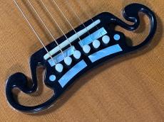 Gibson J-200 BIRDS EYE _10