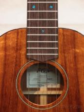 FGN Acoustic 【半期決算セール】FUS-TT 【アウトレット特価!】【テナー/ハワイアンコア】【送料込】_6