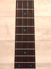 FGN Acoustic 【半期決算セール】FUS-TT 【アウトレット特価!】【テナー/ハワイアンコア】【送料込】_7