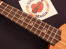aNueNue ANN-900S Bear U900 Solid-top Mahogany Pineapple Soprano Ukulele_4