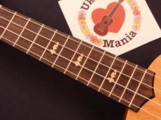 aNueNue ANN-US Rabbit U900 Solid-top Mahogany Soprano _7