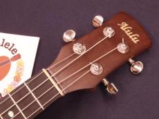 Alulu Carp (鯉)Inlay Solid Curly Maple Concert Ukulele #5477_6