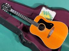 Guild D-50 