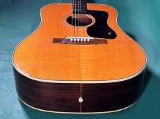 Guild D-50 _11