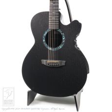 RainSong WS1000N2