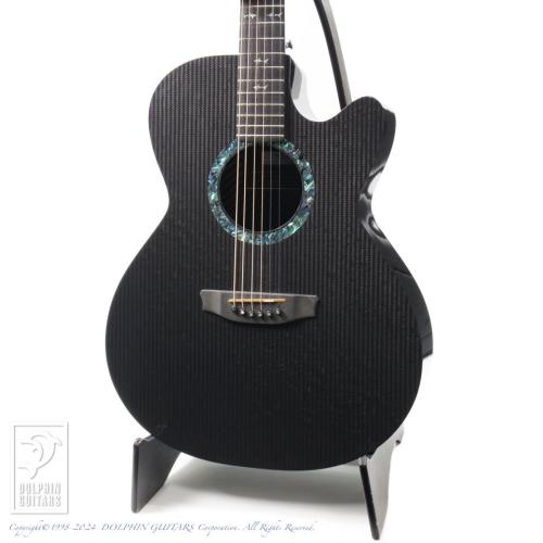 RainSong WS1000N2