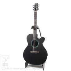 RainSong WS1000N2_2