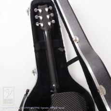 RainSong WS1000N2_9