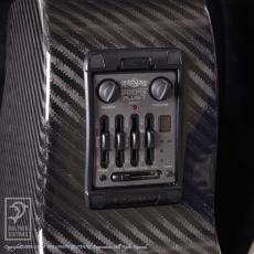 RainSong WS1000N2_12